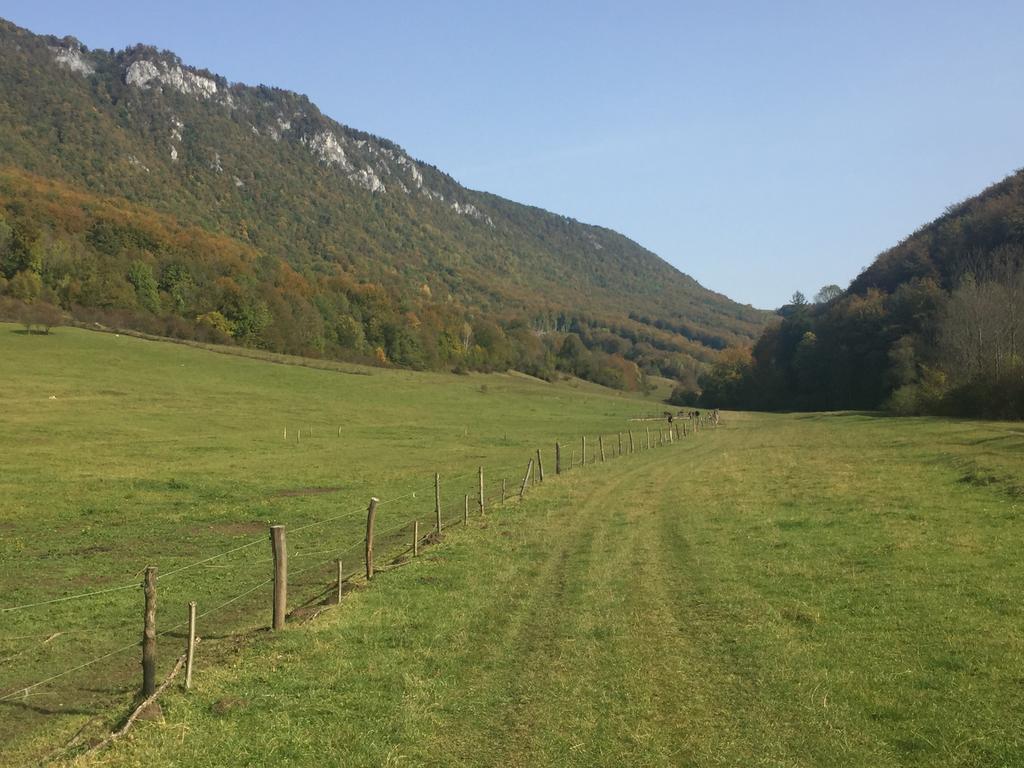 Planina