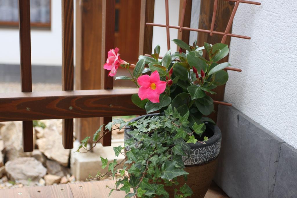 Planina Apartman