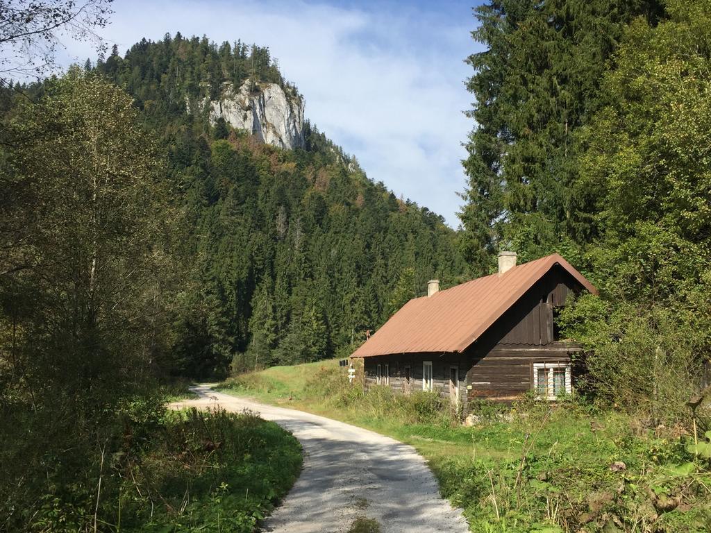Apartment Planina
