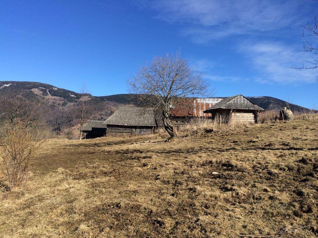 Apartment Planina