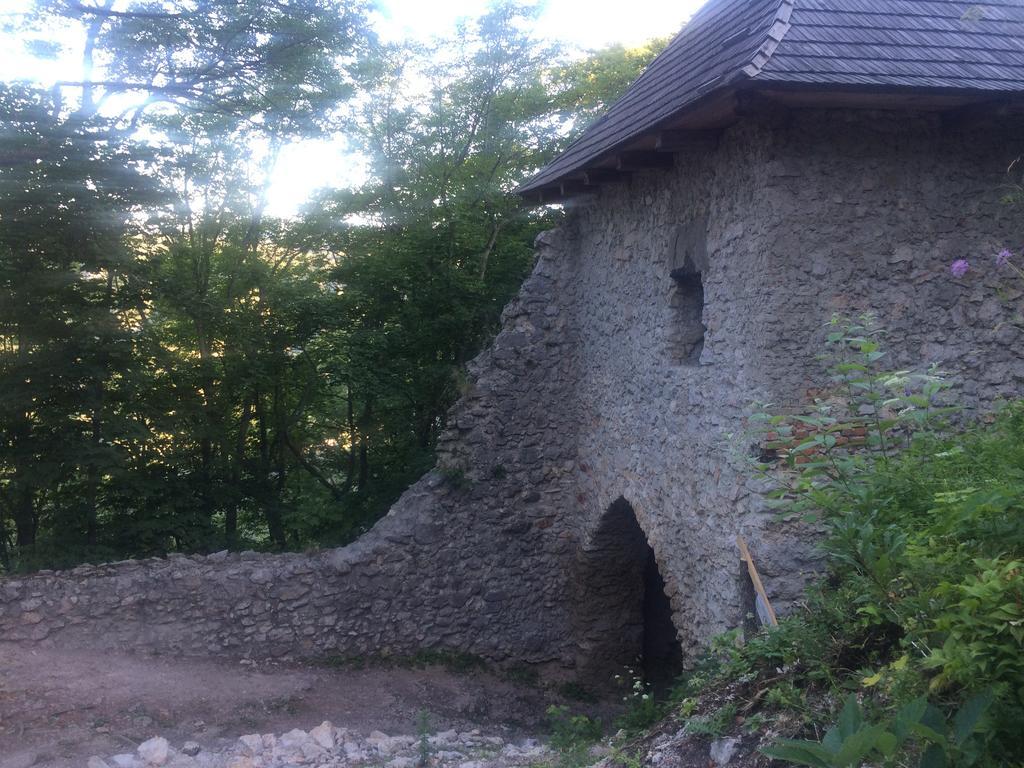Planina *