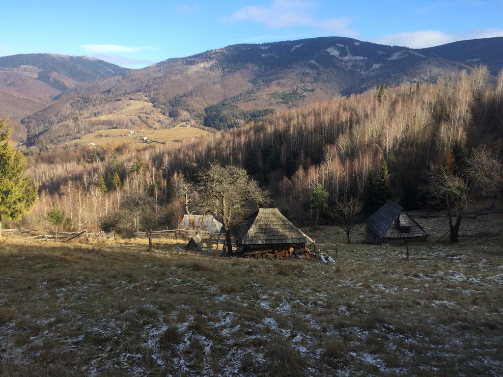Planina Apartment *