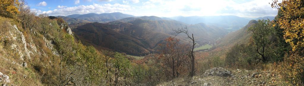 Planina *