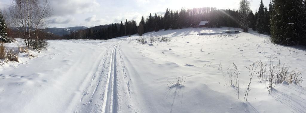 Planina Apartment Predna Hora