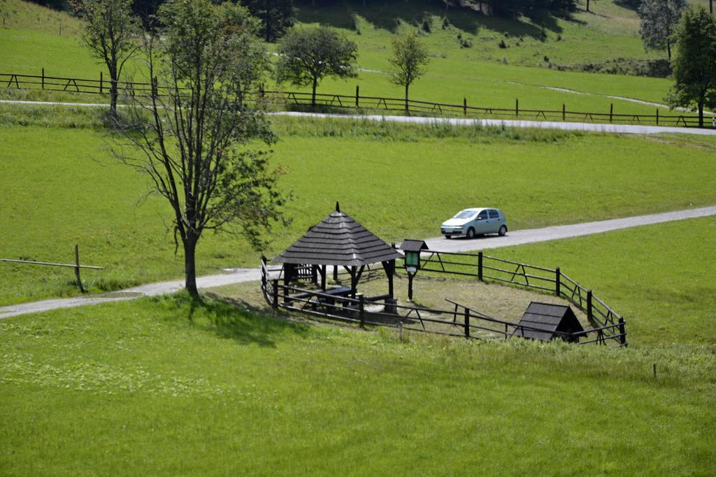Planina Apartment *