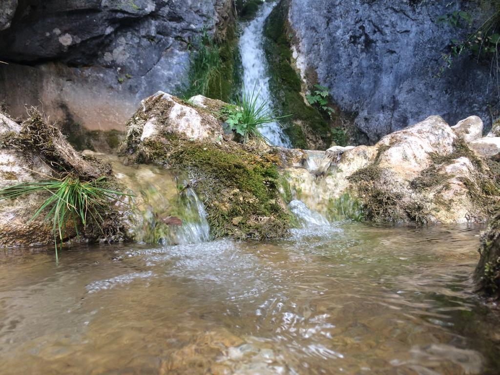 Planina Apartman