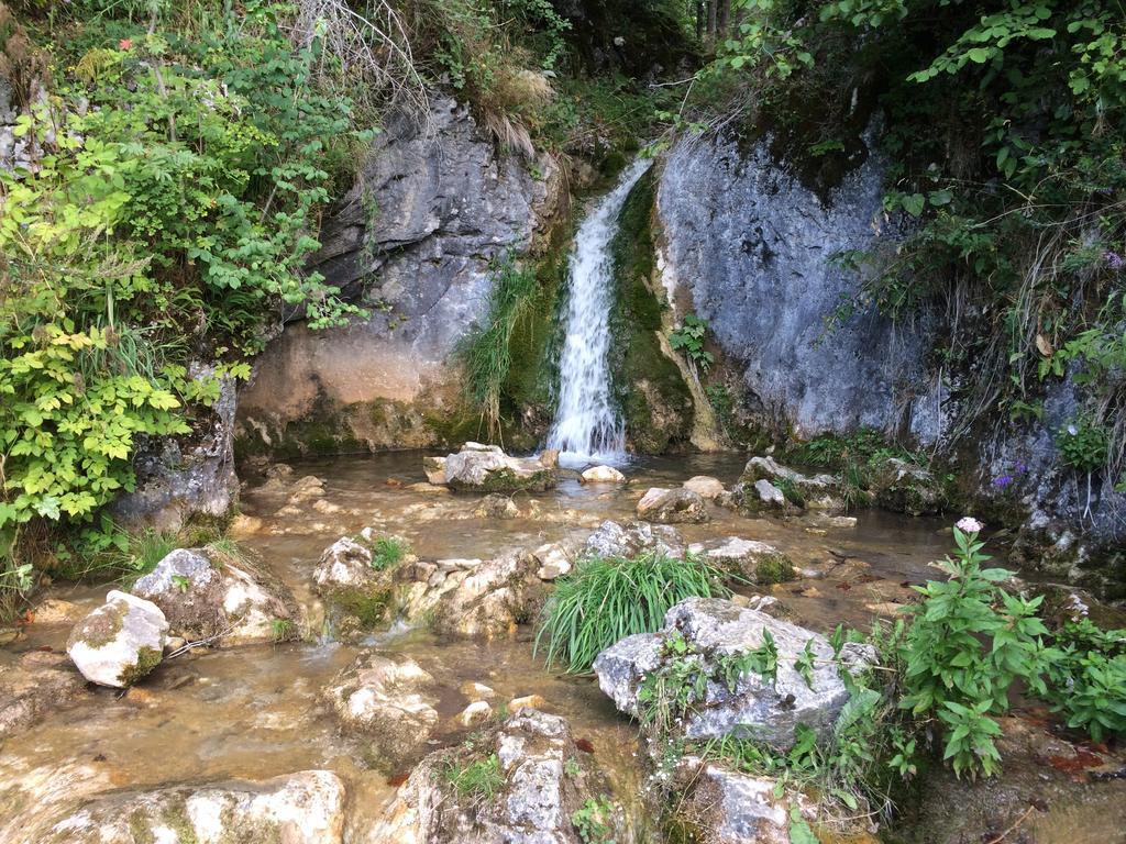 Planina Predna Hora