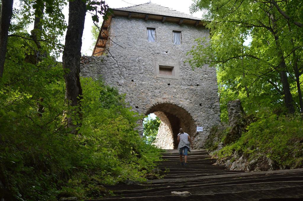 Planina