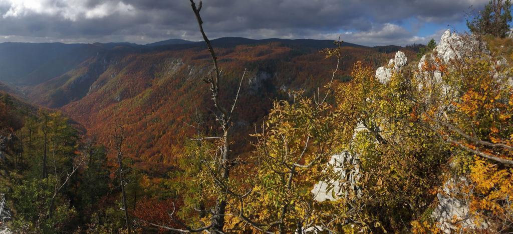 Planina Apartman