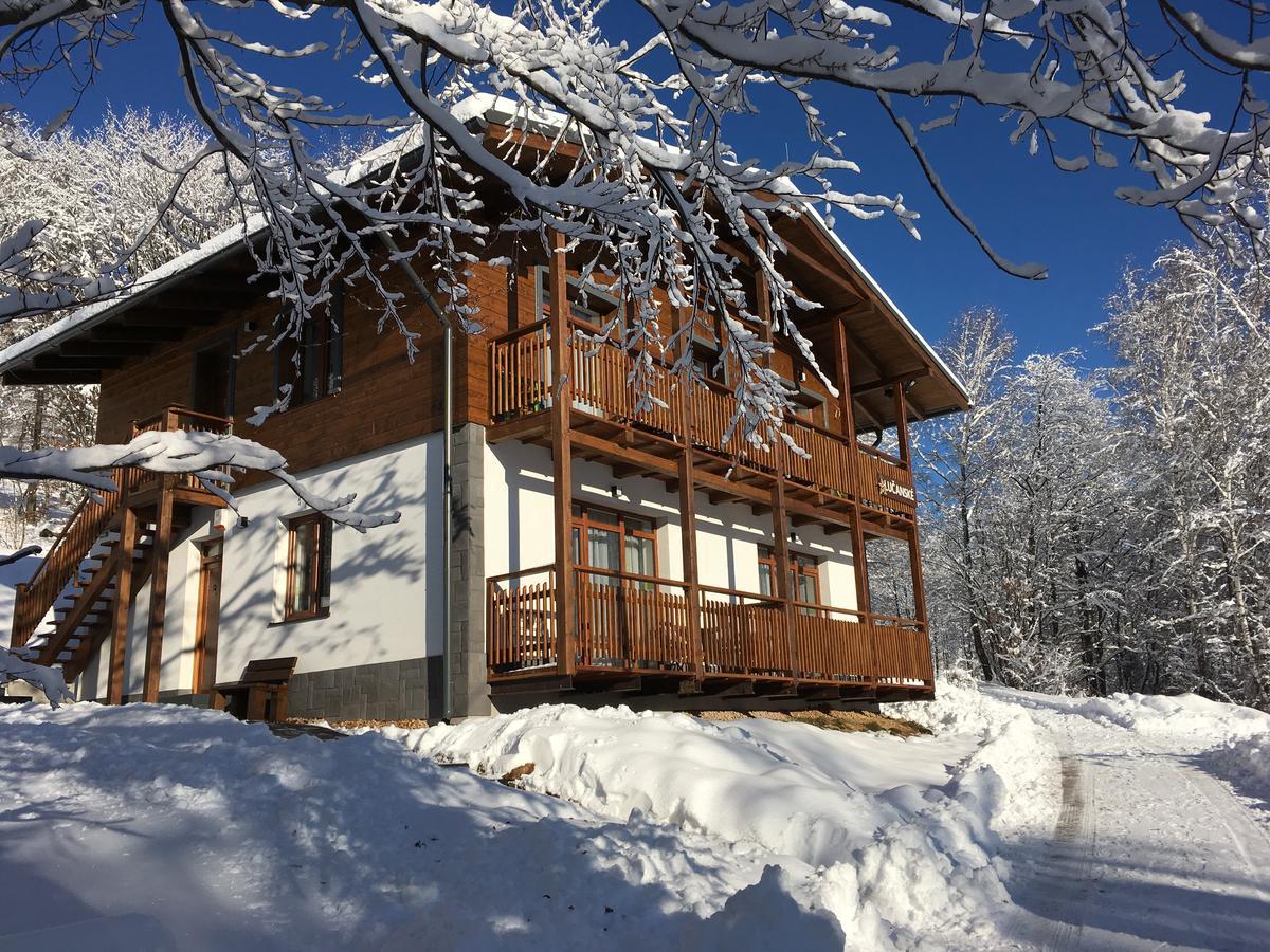 Planina Apartment *